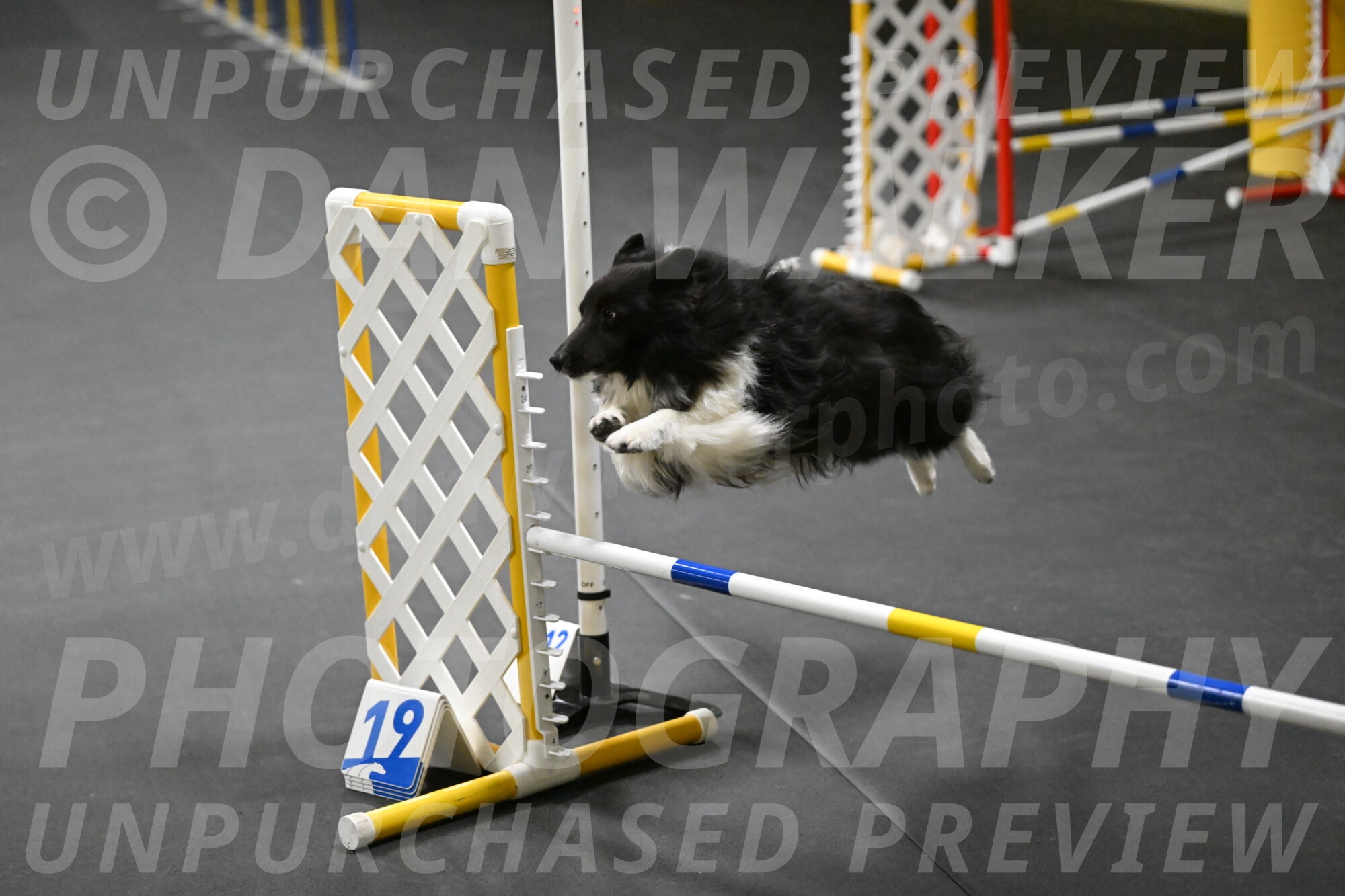 Rigel-Weinrich-00849