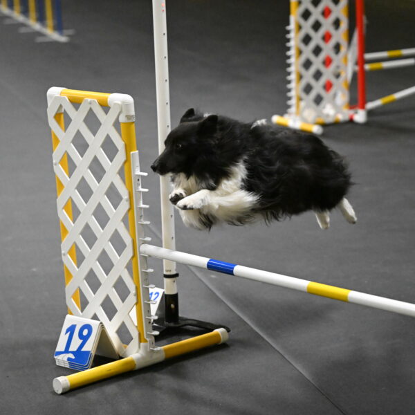 Rigel-Weinrich-00849