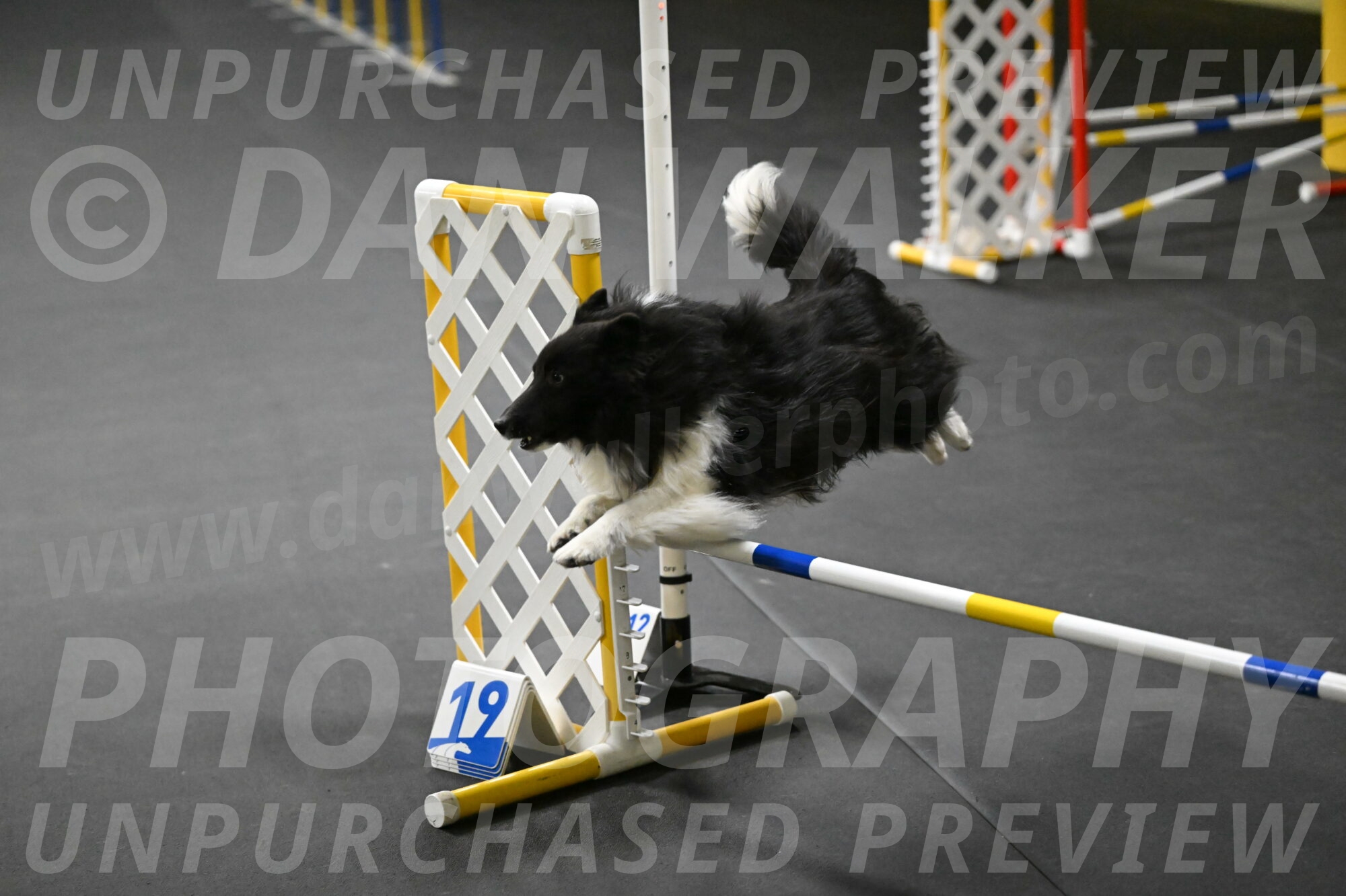 Rigel-Weinrich-00850