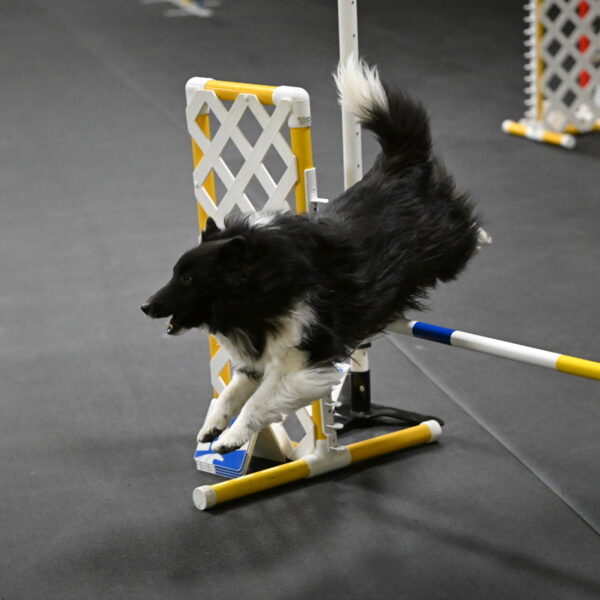 Rigel-Weinrich-00851