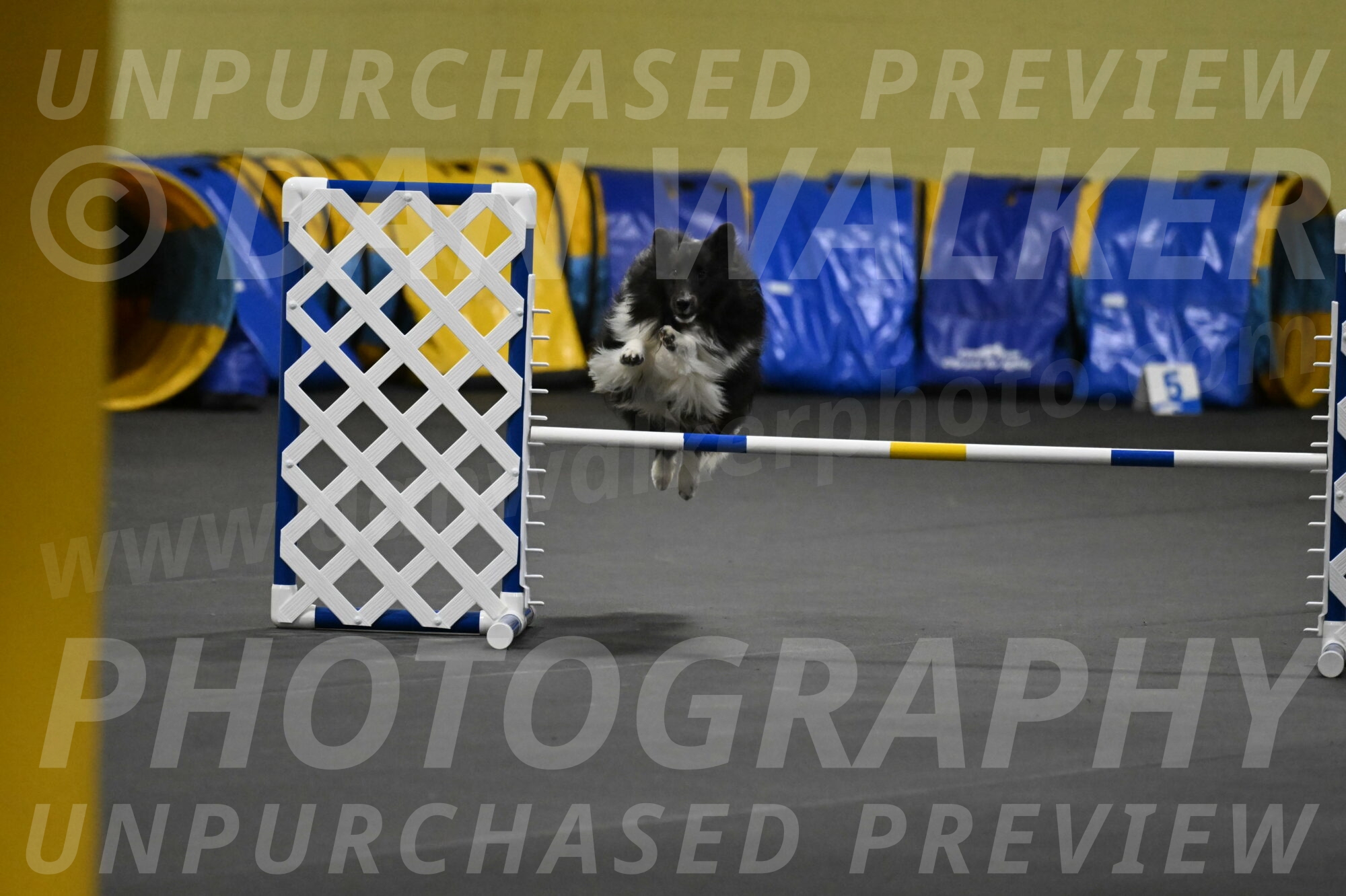 Rigel-Weinrich-00857