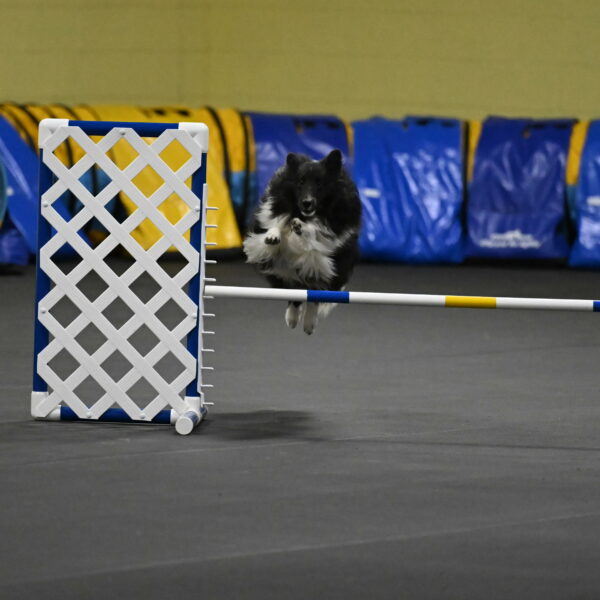 Rigel-Weinrich-00857