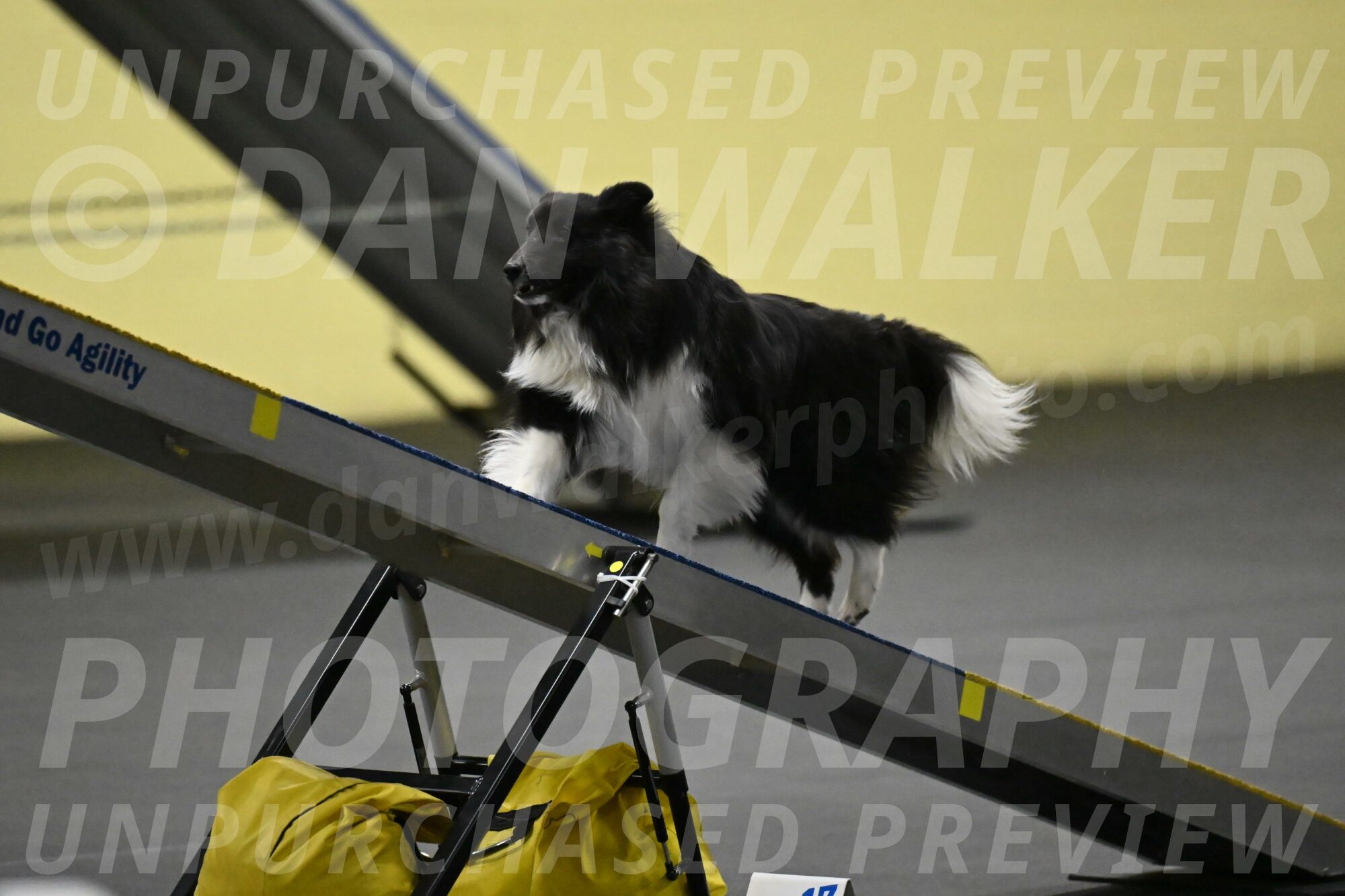 Rigel-Weinrich-00864