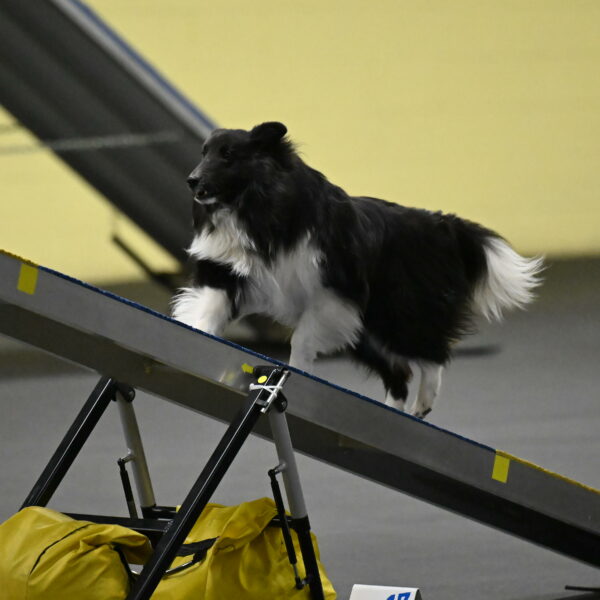 Rigel-Weinrich-00864