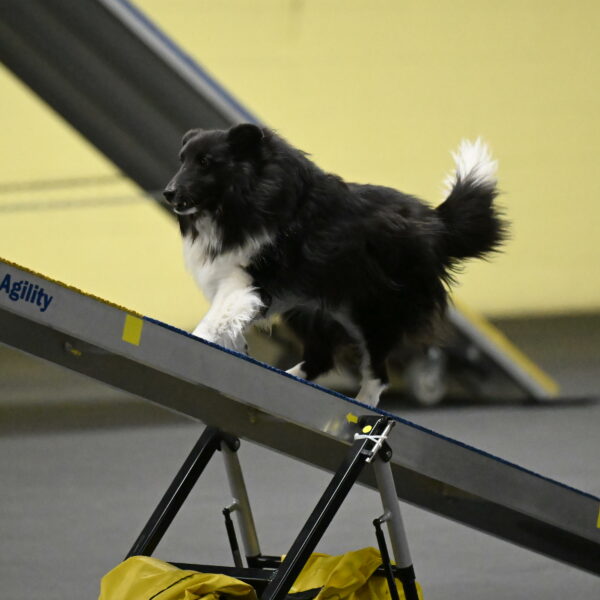 Rigel-Weinrich-00866