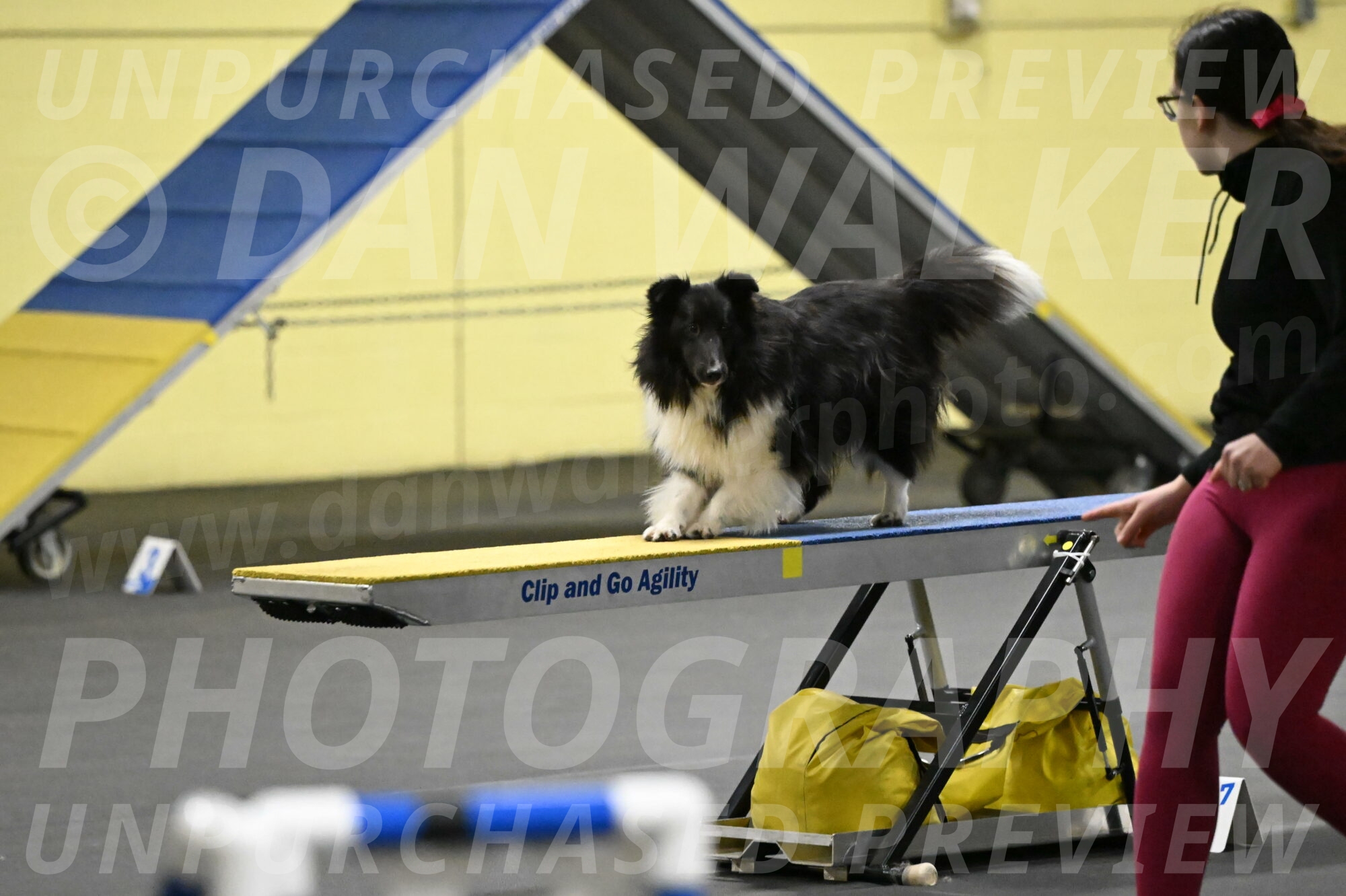 Rigel-Weinrich-00874