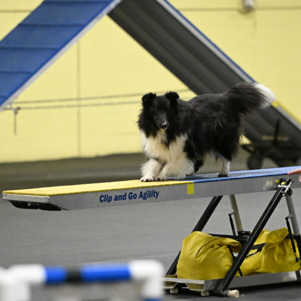 Rigel-Weinrich-00874