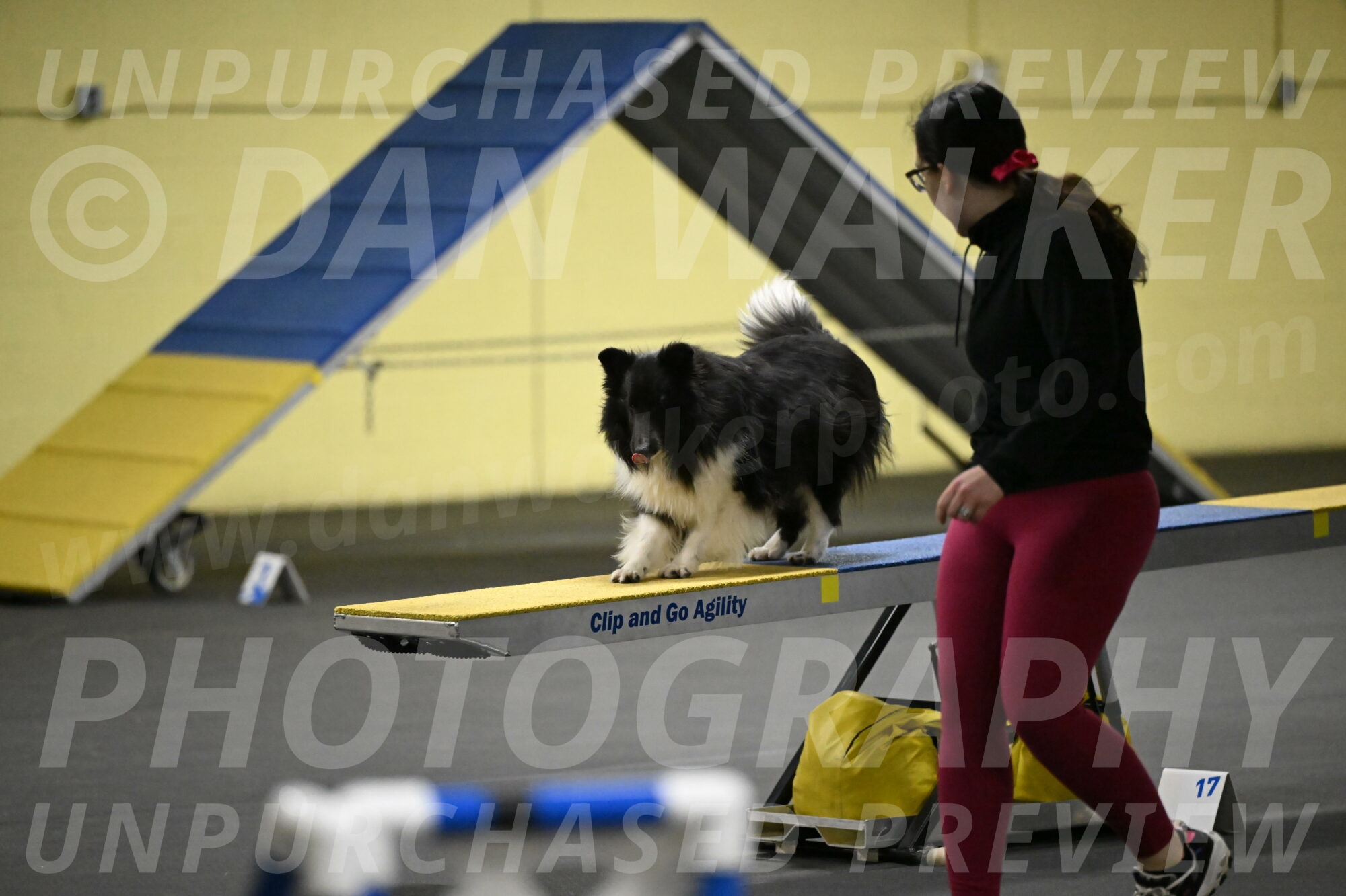 Rigel-Weinrich-00888