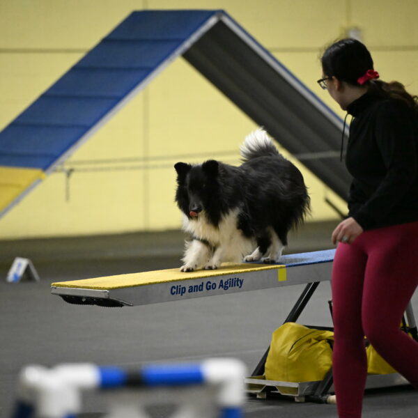 Rigel-Weinrich-00888