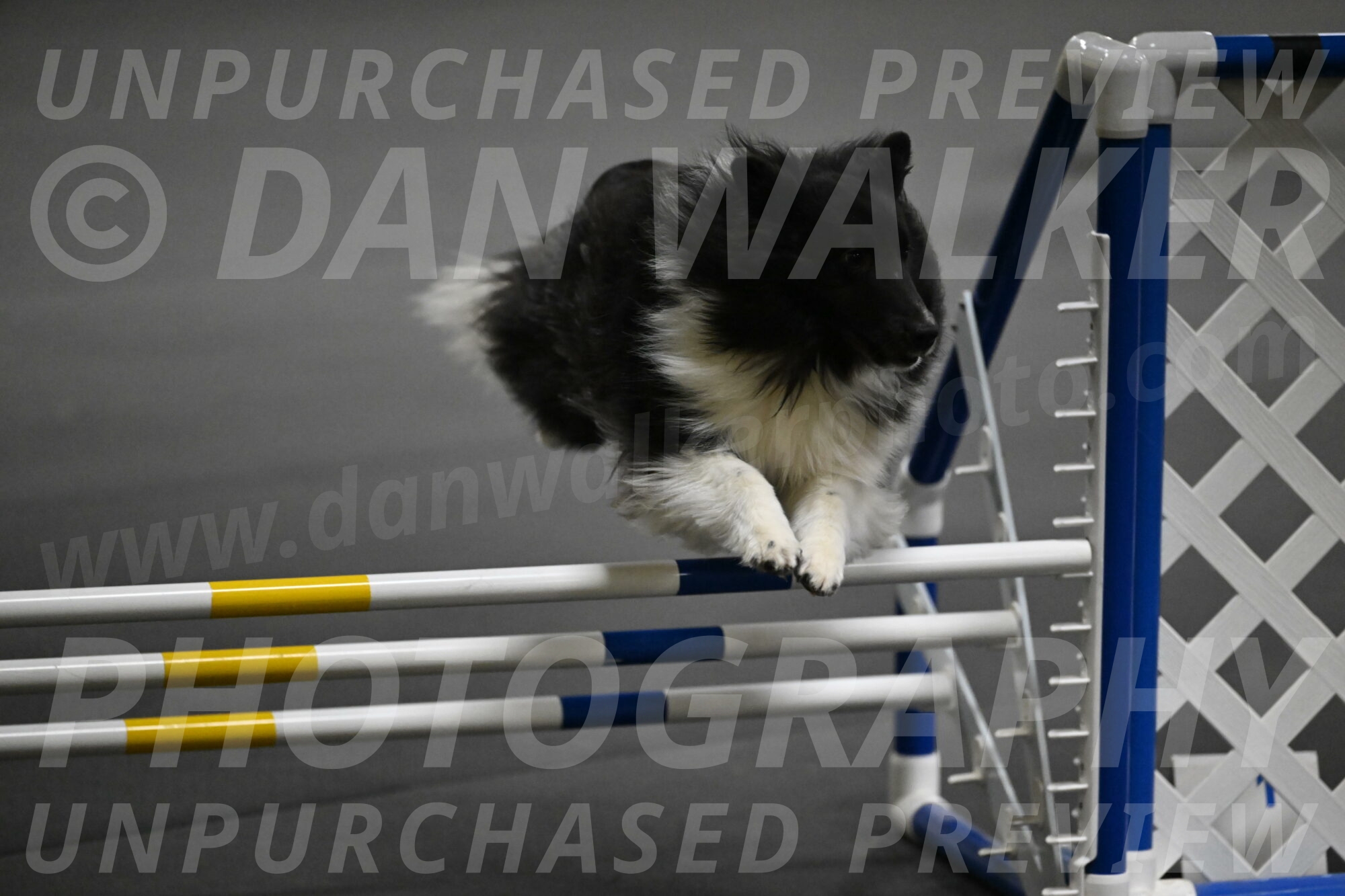 Rigel-Weinrich-00899