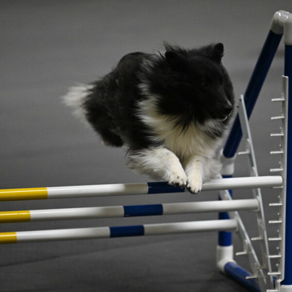 Rigel-Weinrich-00899