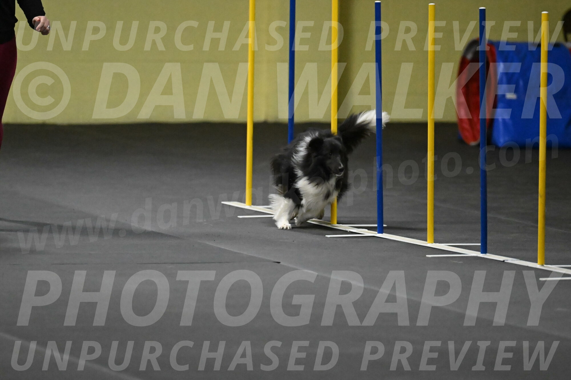 Rigel-Weinrich-00913