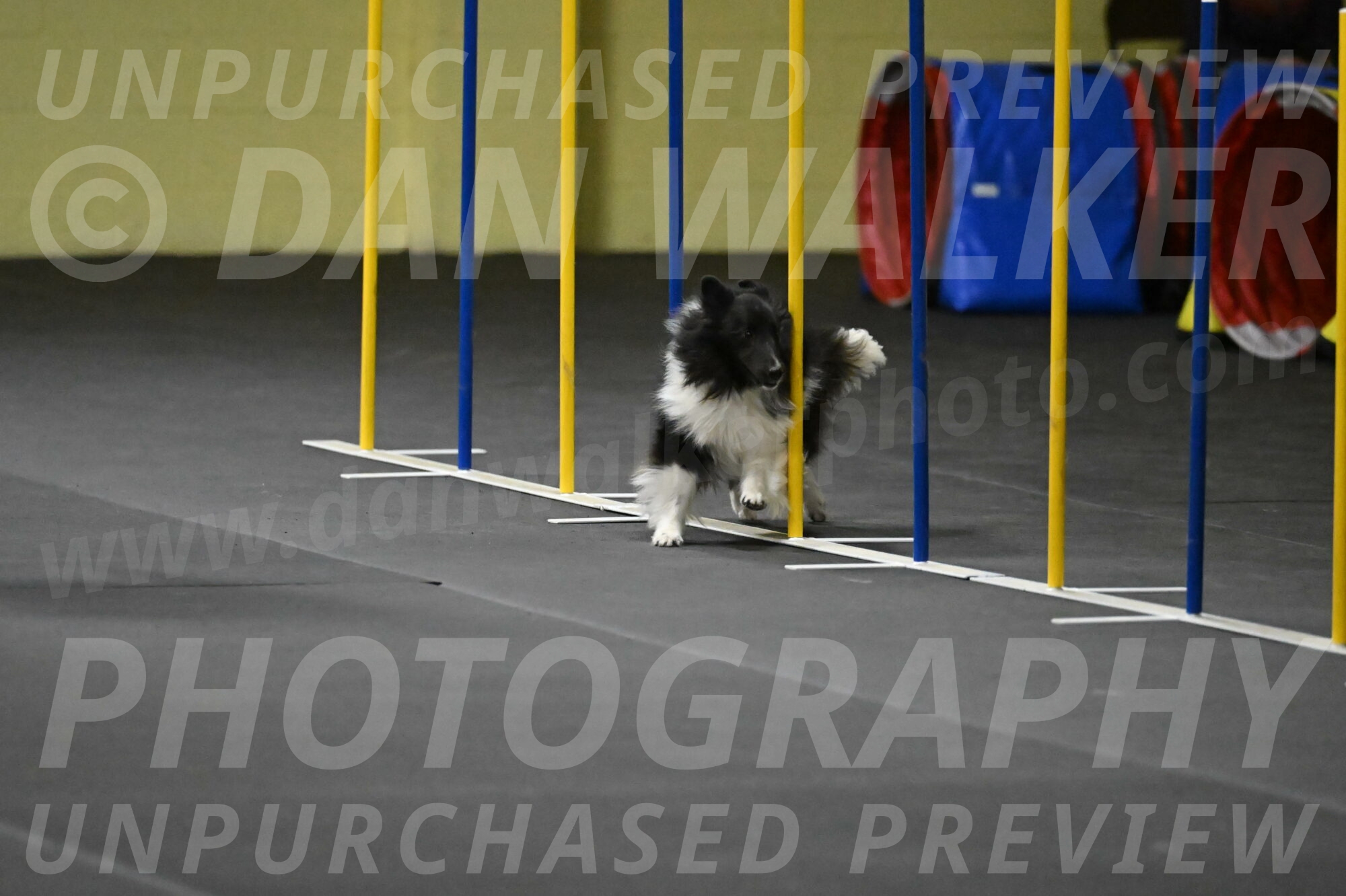 Rigel-Weinrich-00919