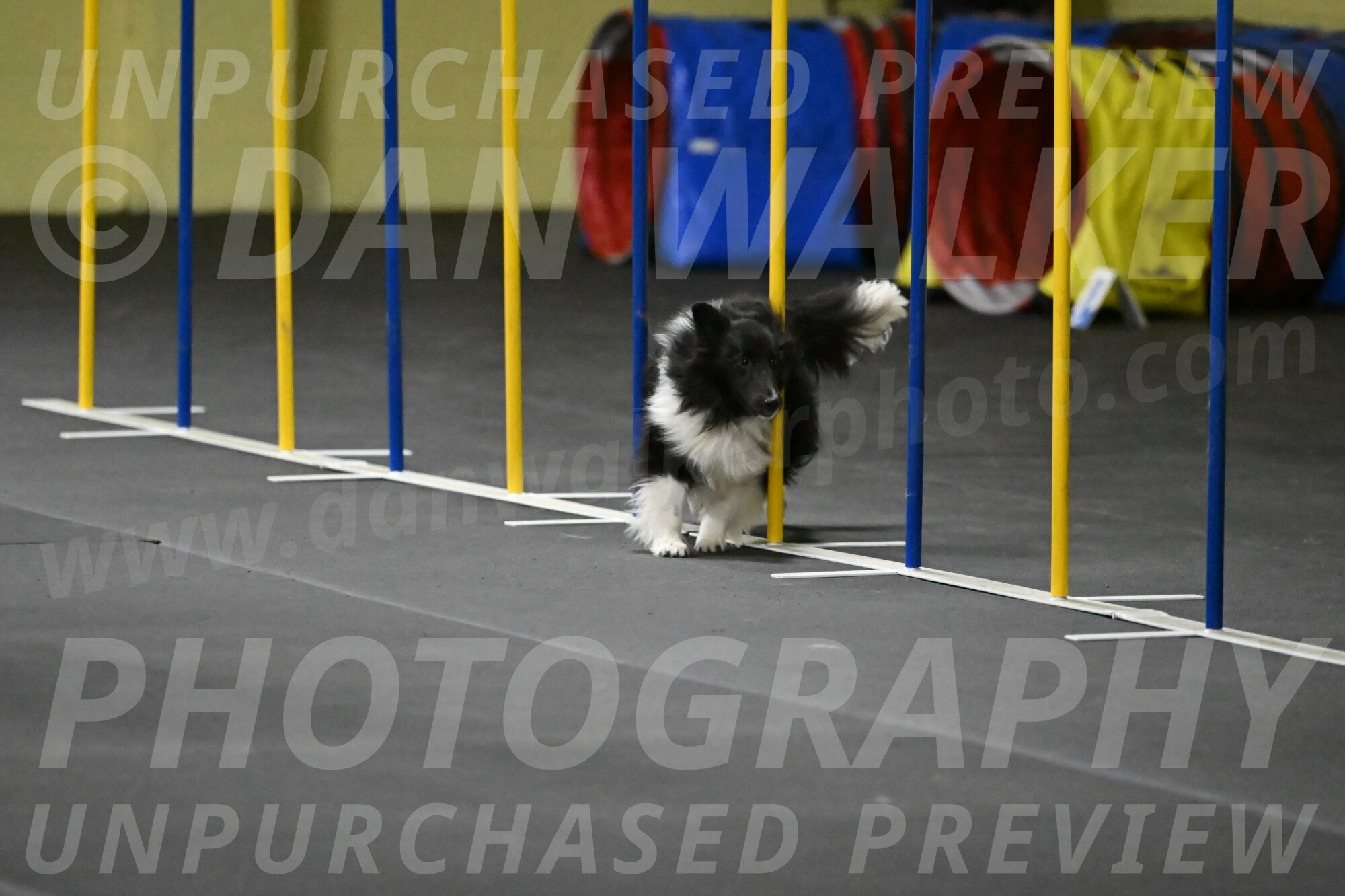 Rigel-Weinrich-00926