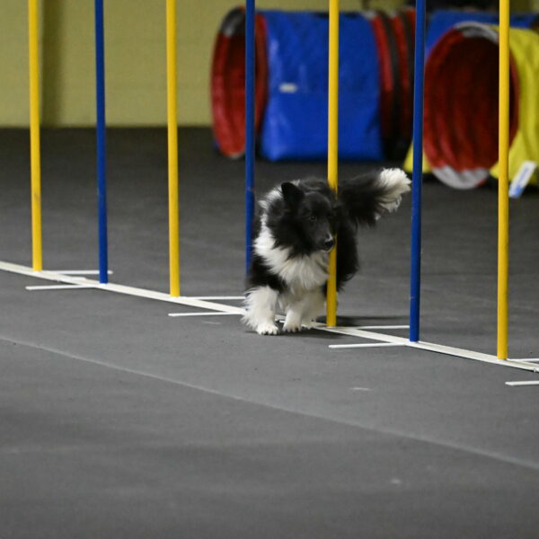 Rigel-Weinrich-00926