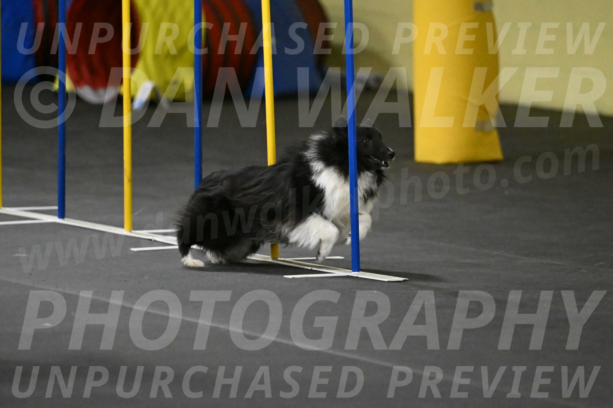 Rigel-Weinrich-00942