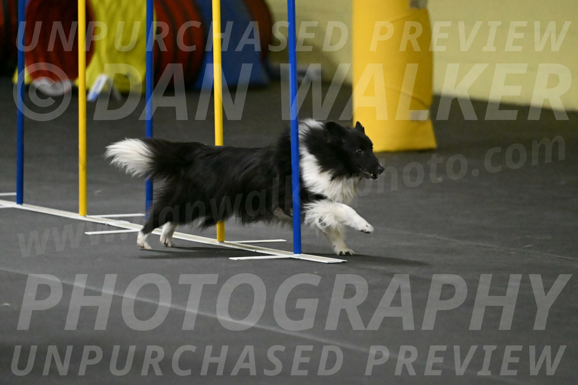 Rigel-Weinrich-00943