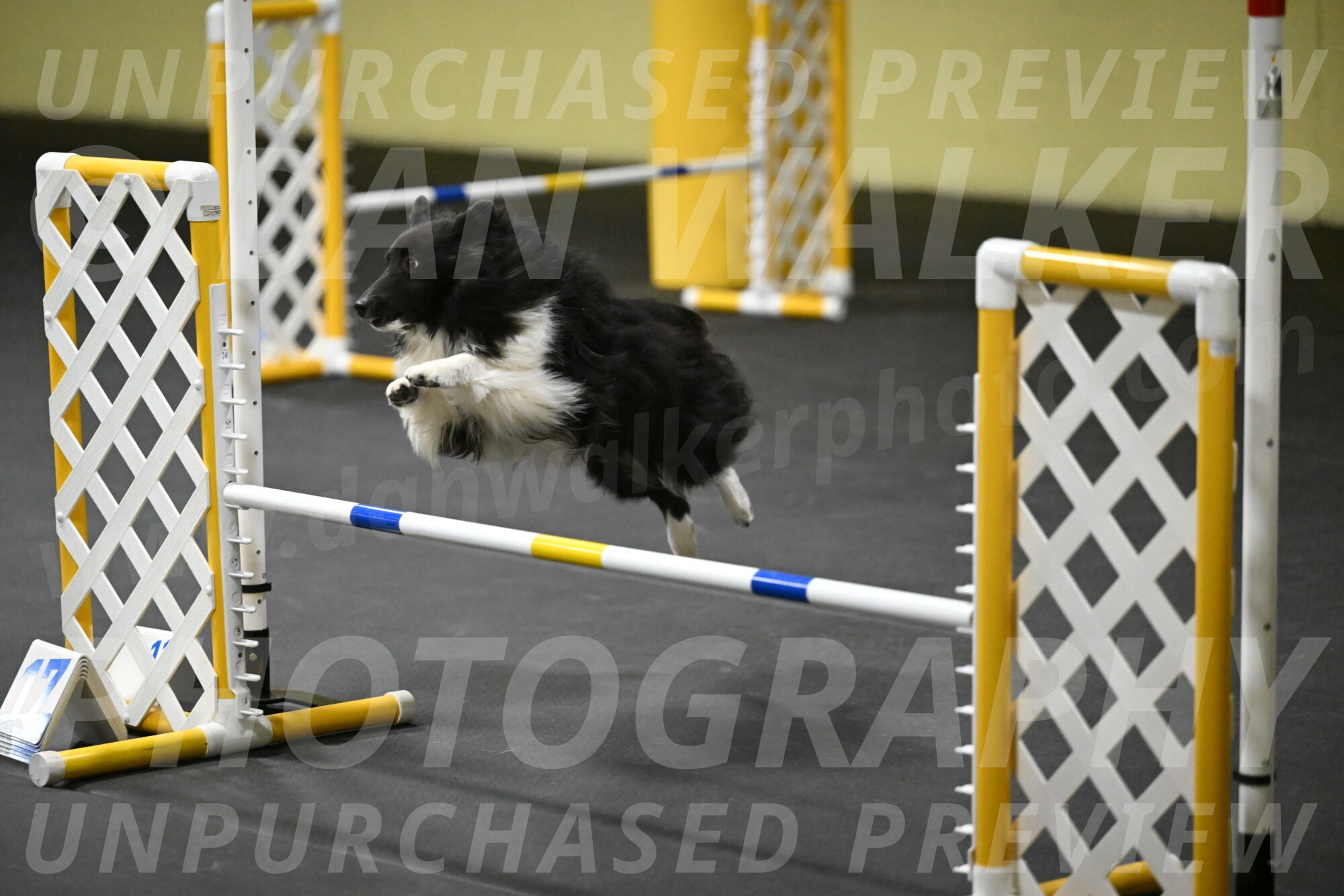 Rigel-Weinrich-00952