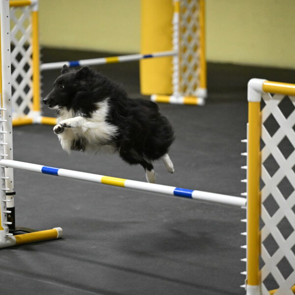 Rigel-Weinrich-00952