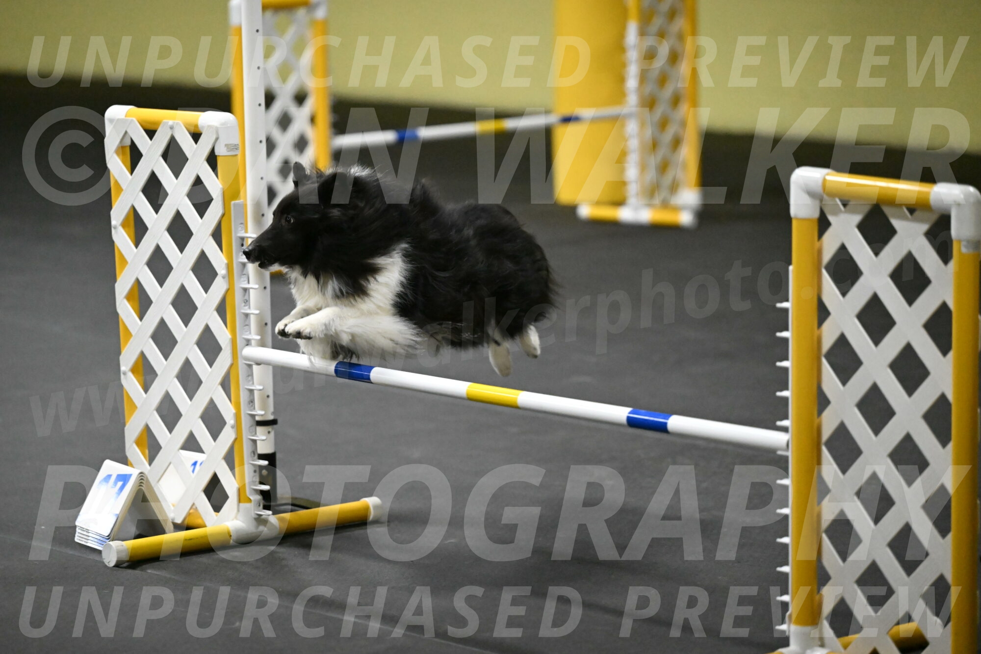 Rigel-Weinrich-00953