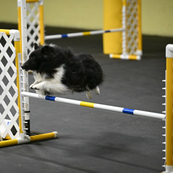 Rigel-Weinrich-00953