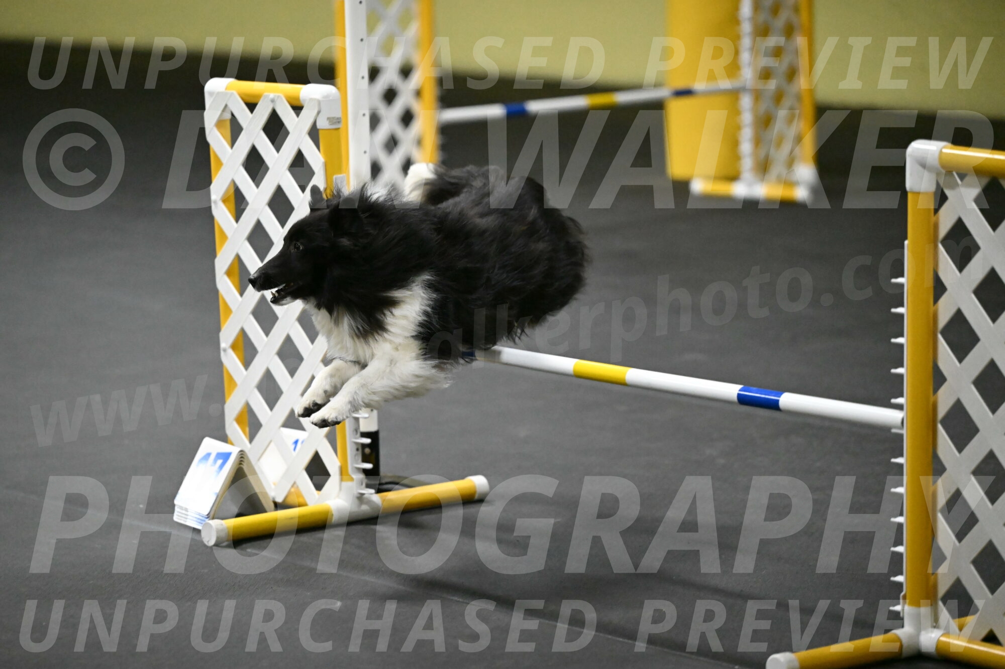 Rigel-Weinrich-00954