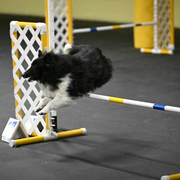 Rigel-Weinrich-00954