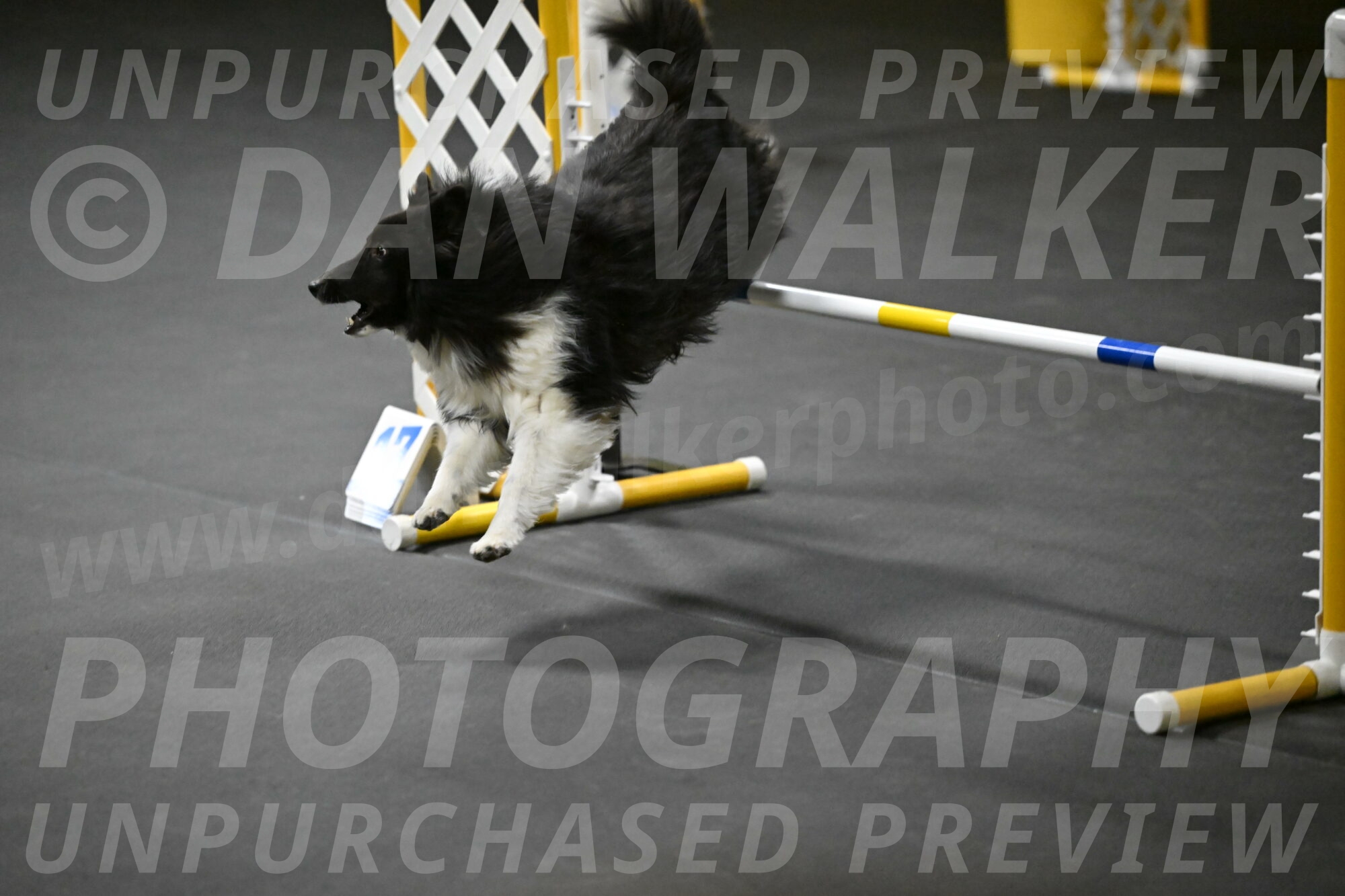 Rigel-Weinrich-00955