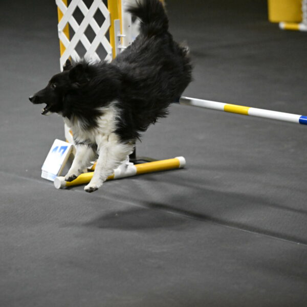 Rigel-Weinrich-00955