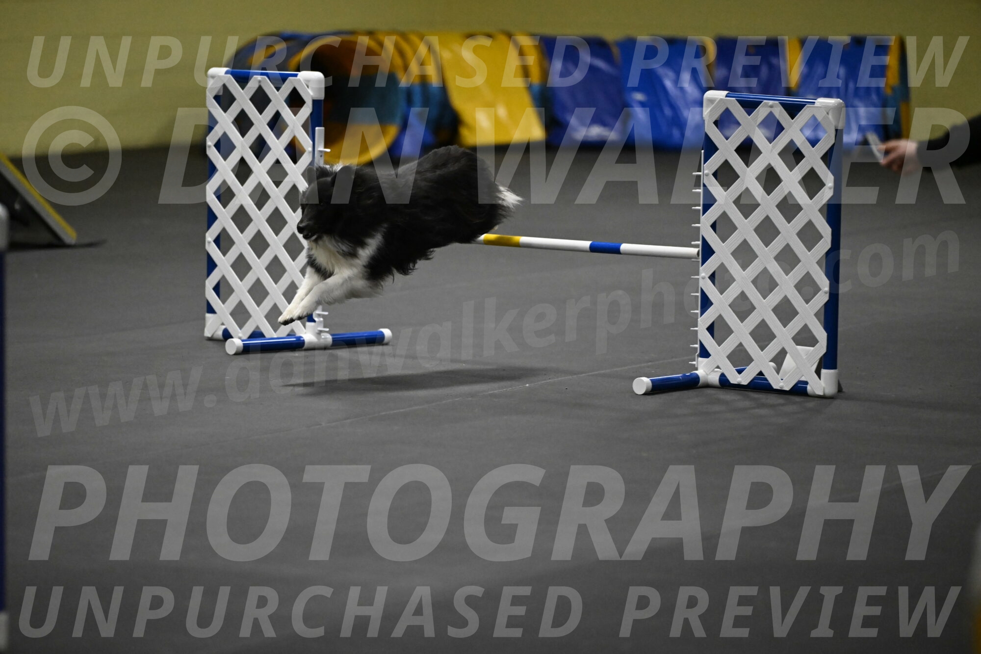 Rigel-Weinrich-00956