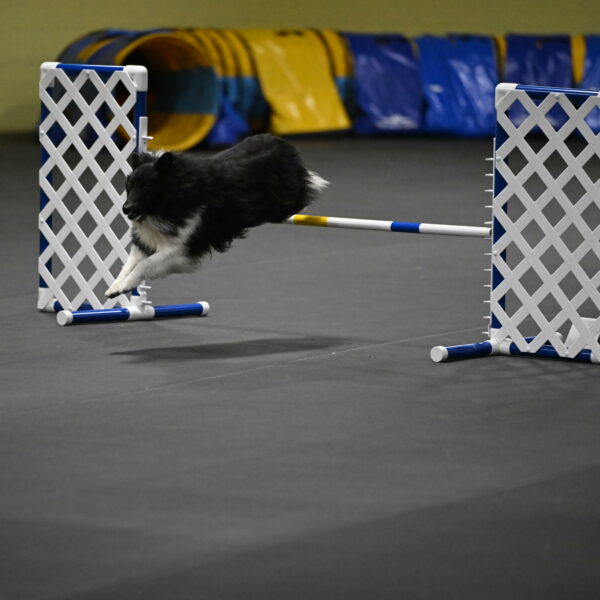 Rigel-Weinrich-00956