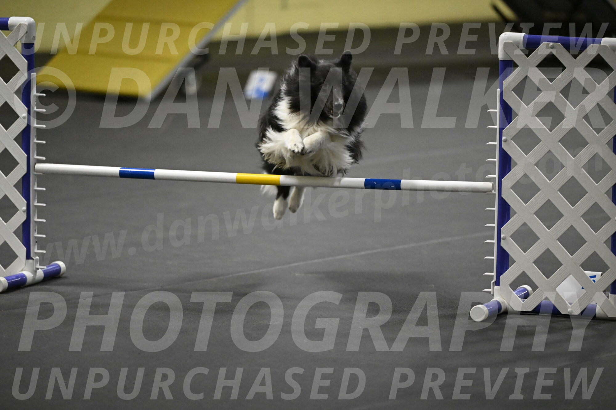 Rigel-Weinrich-00965