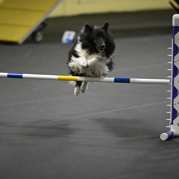 Rigel-Weinrich-00965