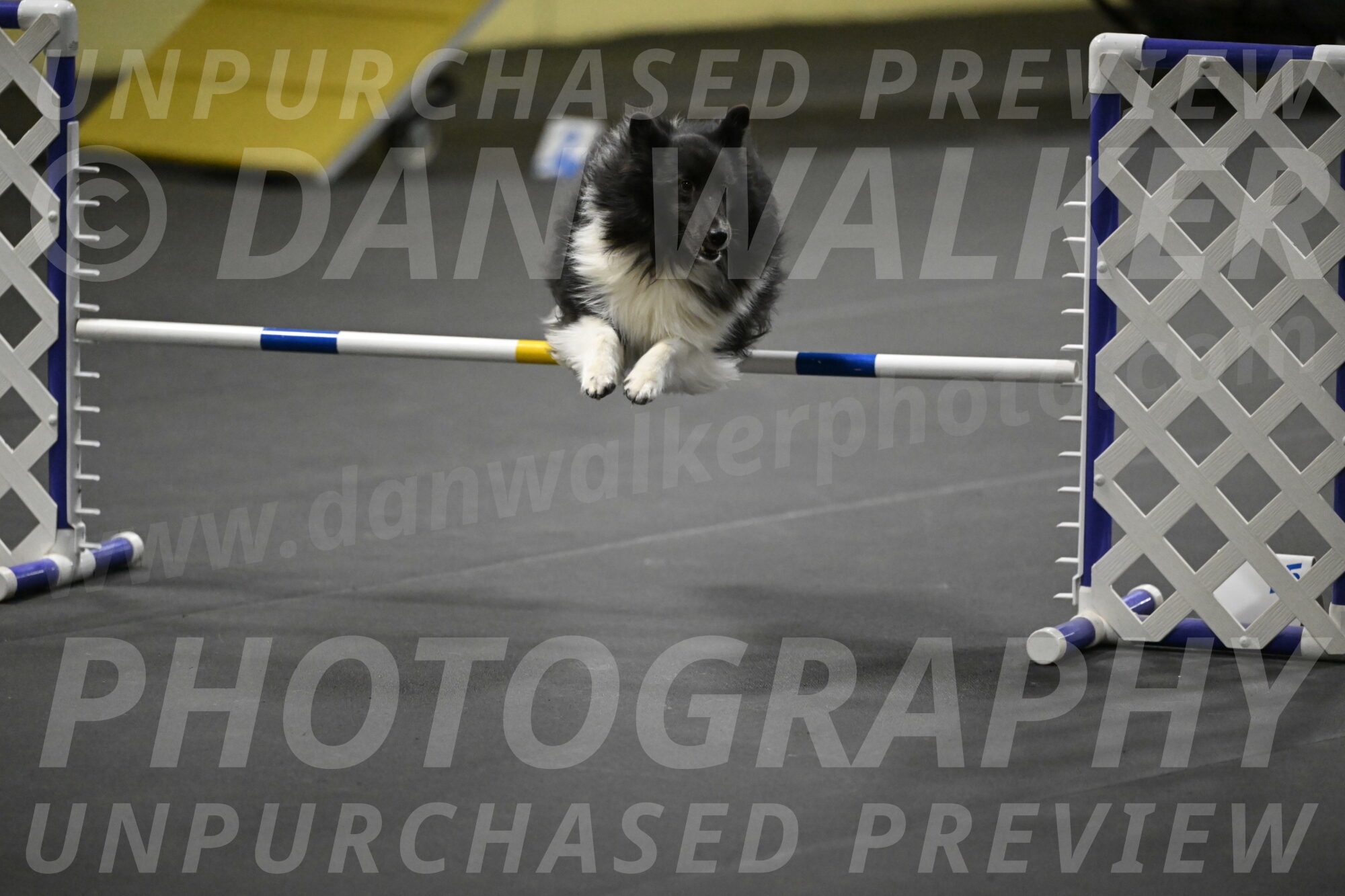 Rigel-Weinrich-00966