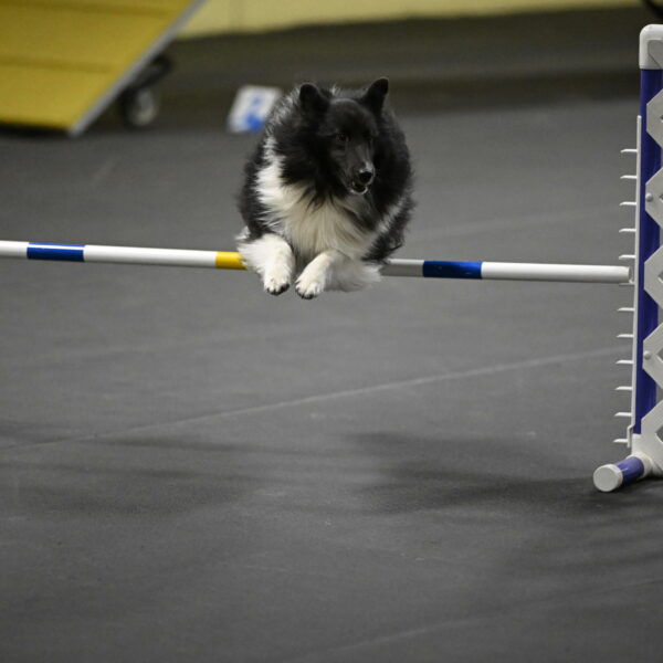 Rigel-Weinrich-00966