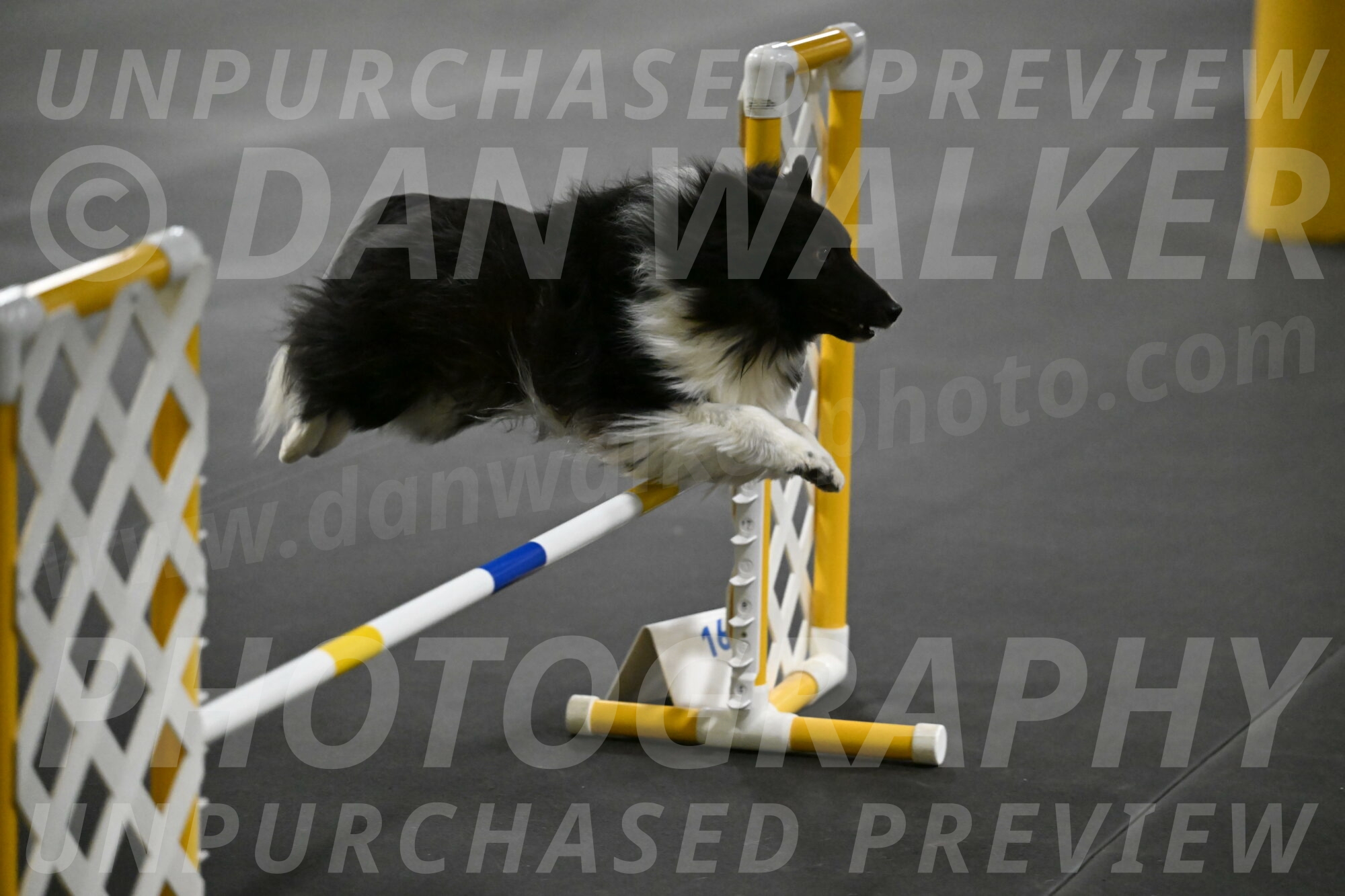 Rigel-Weinrich-00976