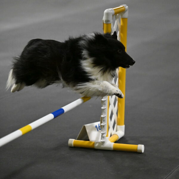 Rigel-Weinrich-00976