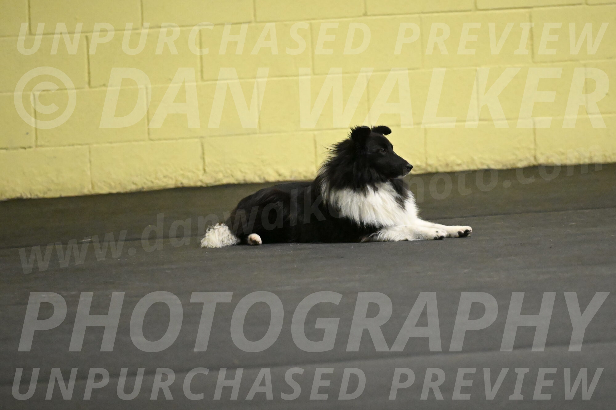 Rigel-Weinrich-00980