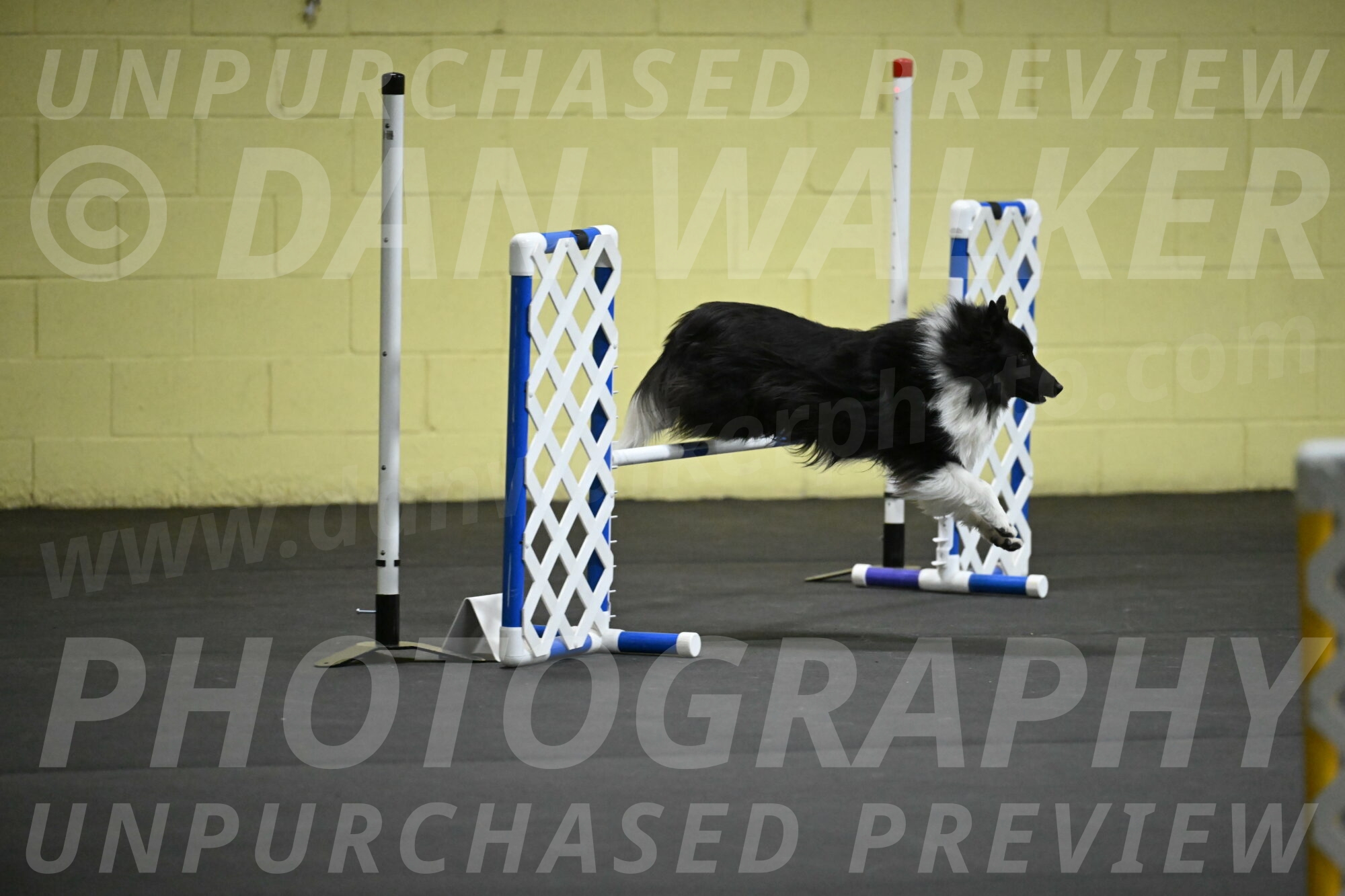 Rigel-Weinrich-00982