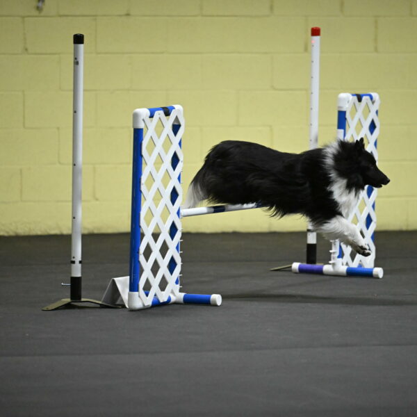 Rigel-Weinrich-00982