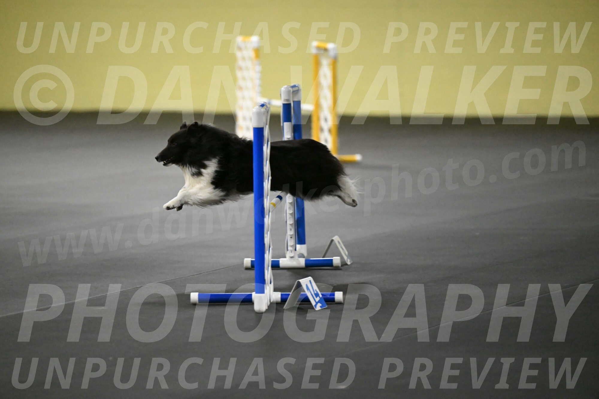 Rigel-Weinrich-00985