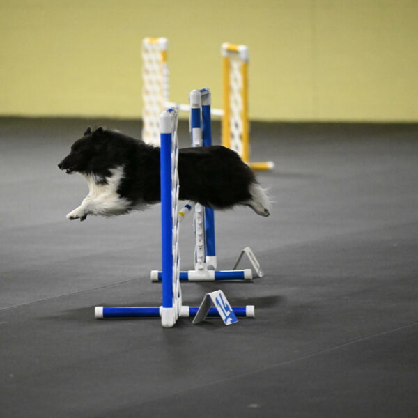 Rigel-Weinrich-00985