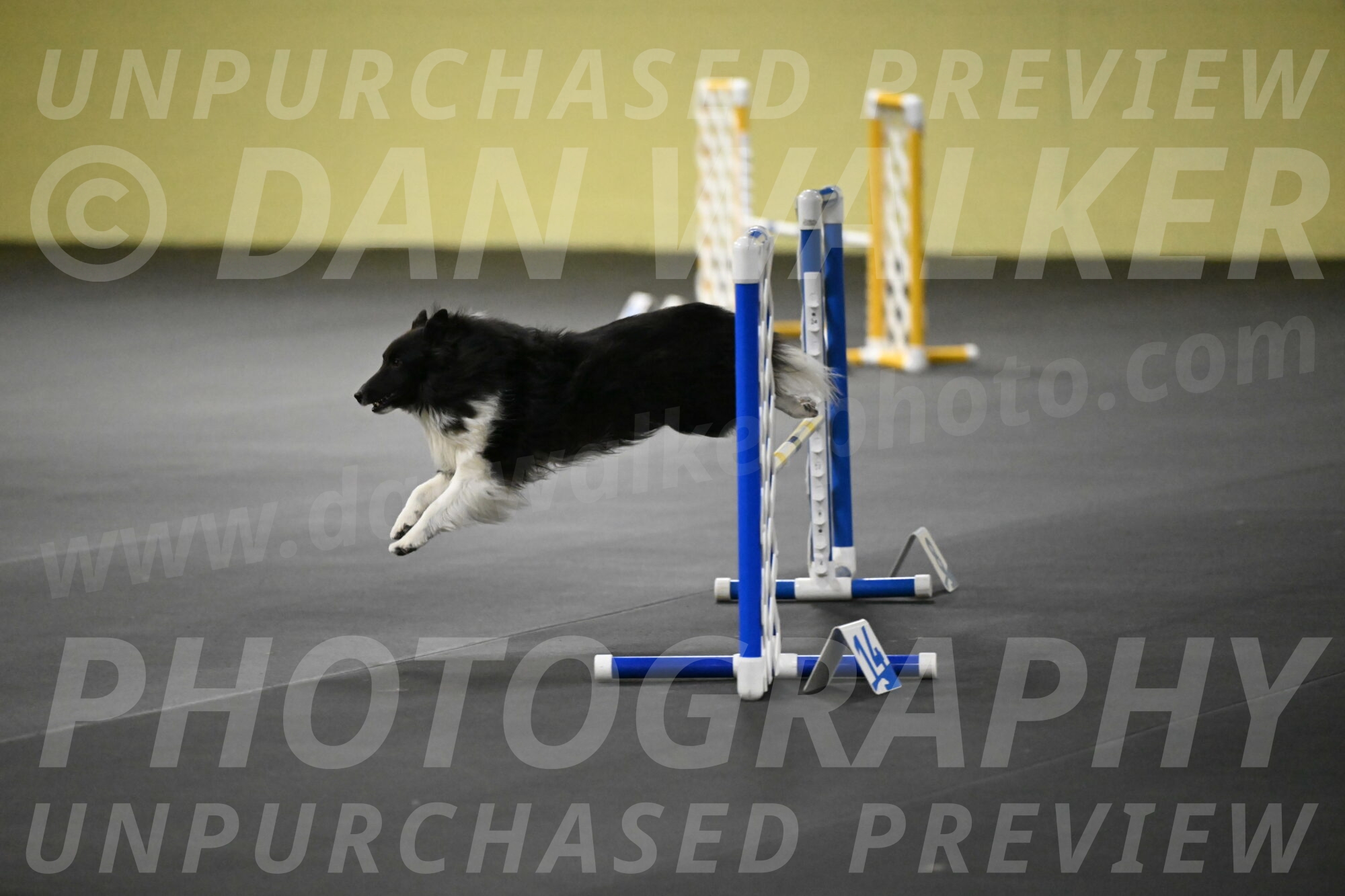 Rigel-Weinrich-00986