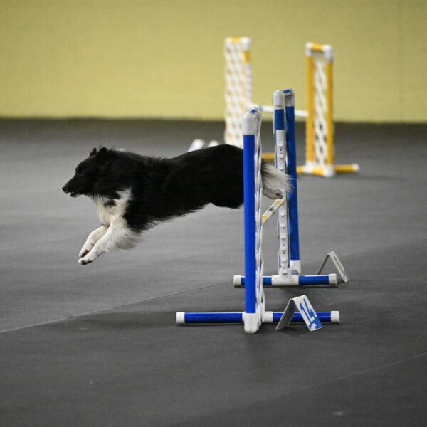 Rigel-Weinrich-00986