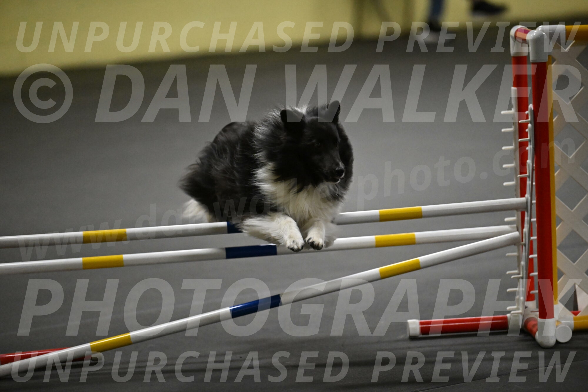 Rigel-Weinrich-00992