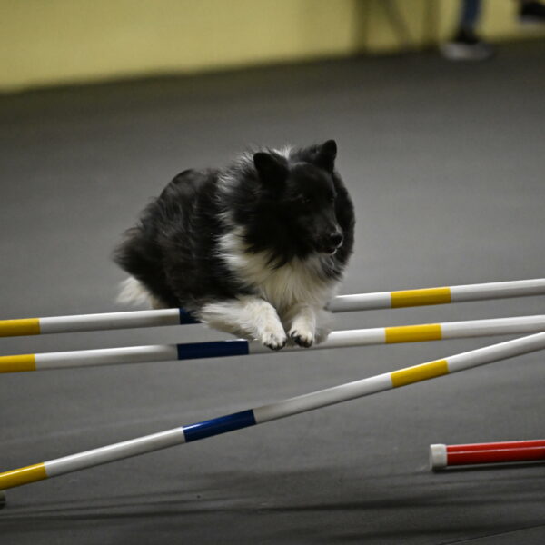 Rigel-Weinrich-00992