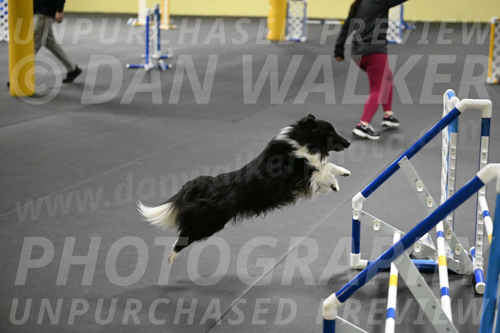 Rigel-Weinrich-00996