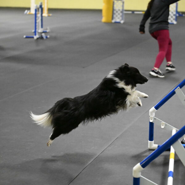 Rigel-Weinrich-00996