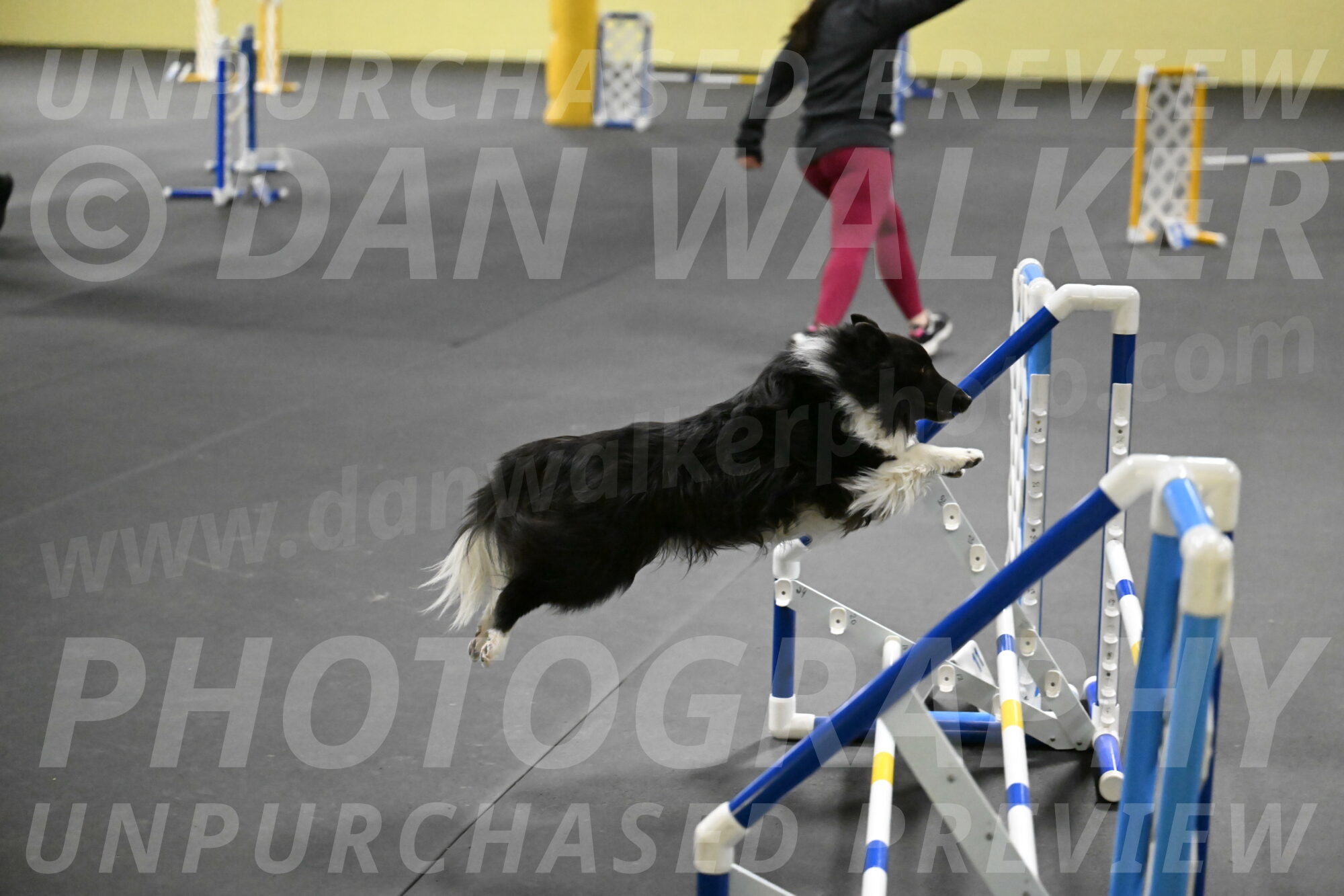 Rigel-Weinrich-00997