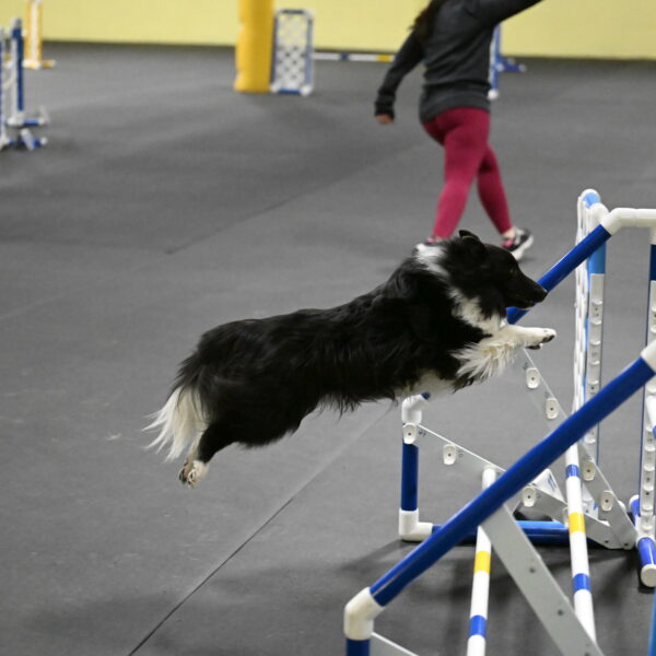 Rigel-Weinrich-00997